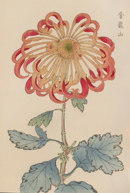 Keika hyakugiku, Pl.08 by Keika Hasegawa, 1893 — digital art print download