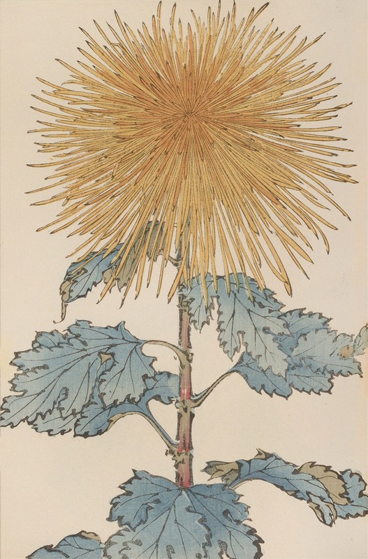 Keika hyakugiku, Pl.10 by Keika Hasegawa, 1893 — digital art print download