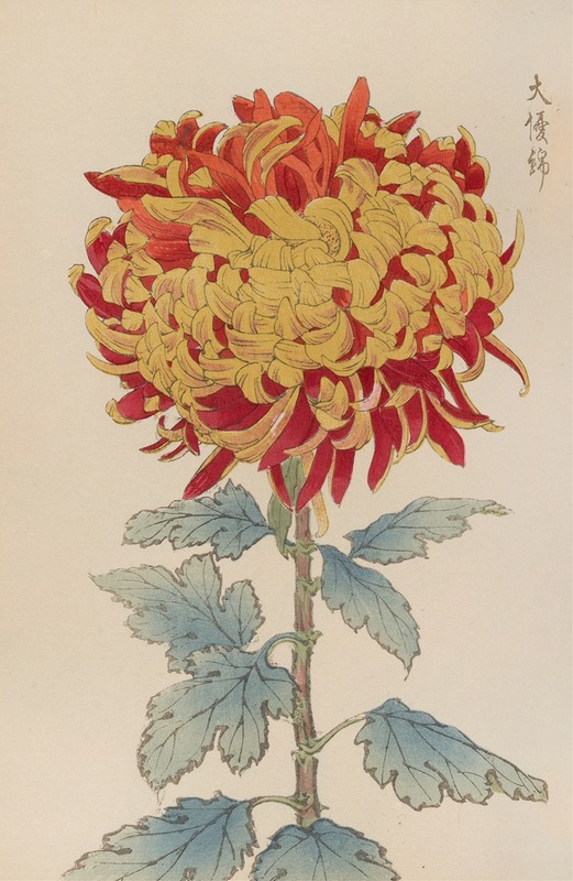Keika hyakugiku, Pl.12 by Keika Hasegawa, 1893 — digital art print download