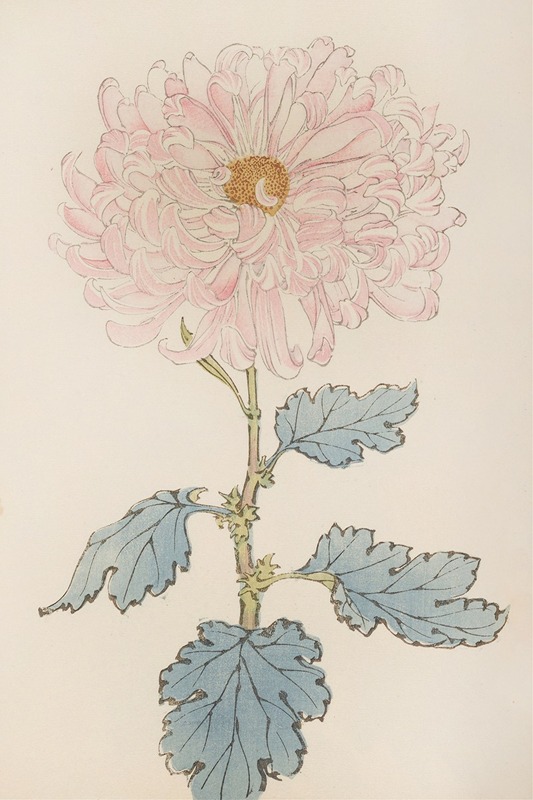 Keika hyakugiku, Pl.14 by Keika Hasegawa, 1893 — digital art print download
