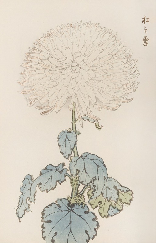 Keika hyakugiku, Pl.19 by Keika Hasegawa, 1893 — digital art print download