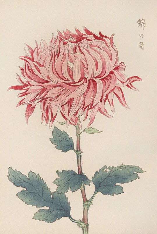 Keika hyakugiku, Pl.20 by Keika Hasegawa, 1893 — digital art print download