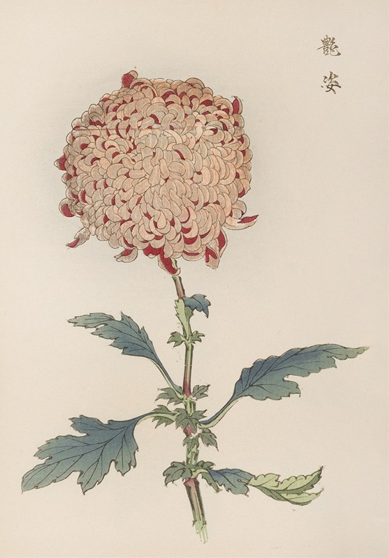 Keika hyakugiku, Pl.21 by Keika Hasegawa, 1893 — digital art print download