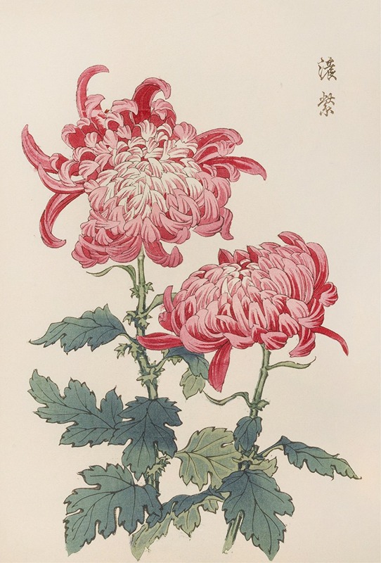 Keika hyakugiku, Pl.23 by Keika Hasegawa, 1893 — digital art print download