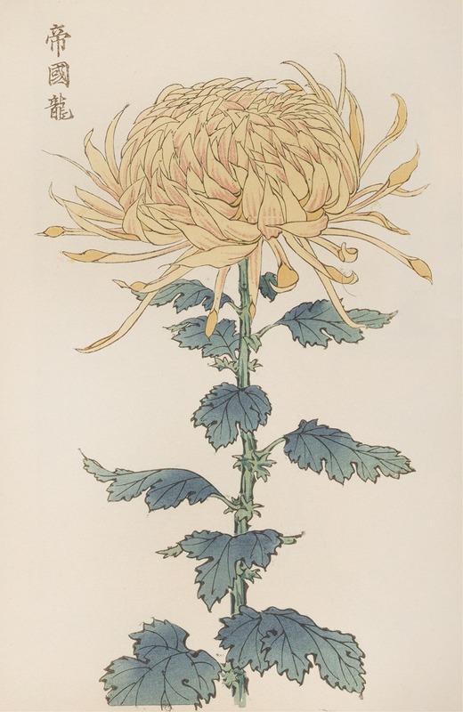 Keika hyakugiku, Pl.26 by Keika Hasegawa, 1893 — digital art print download