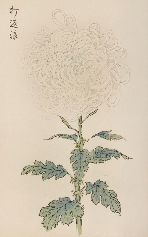 Keika hyakugiku, Pl.29 by Keika Hasegawa, 1893 — digital art print download