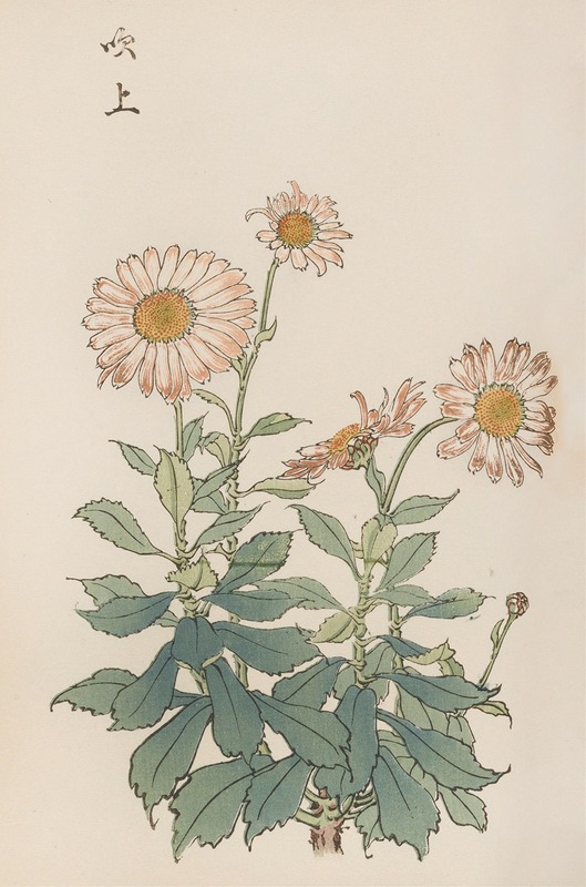Keika hyakugiku, Pl.30 by Keika Hasegawa, 1893 — digital art print download