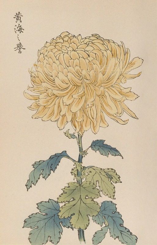 Keika hyakugiku, Pl.33 by Keika Hasegawa, 1893 — digital art print download