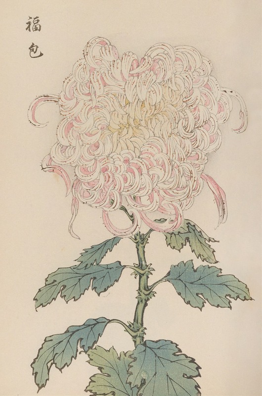 Keika hyakugiku, Pl.34 by Keika Hasegawa, 1893 — digital art print download