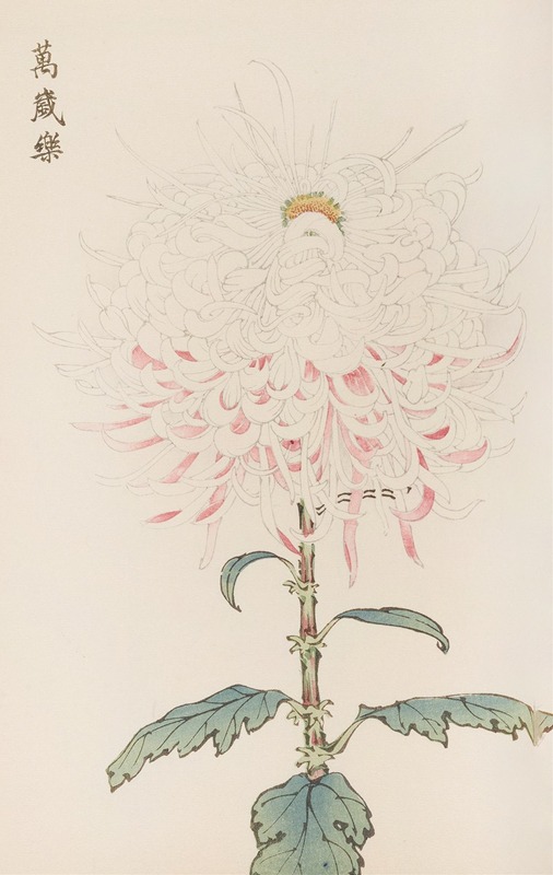 Keika hyakugiku, Pl.38 by Keika Hasegawa, 1893 — digital art print download