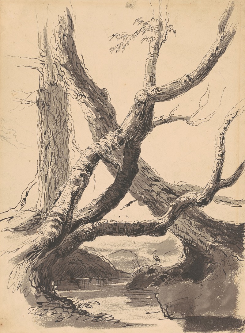 Tree Trunks by Томас Коул, 1825-1840 — digital art print download