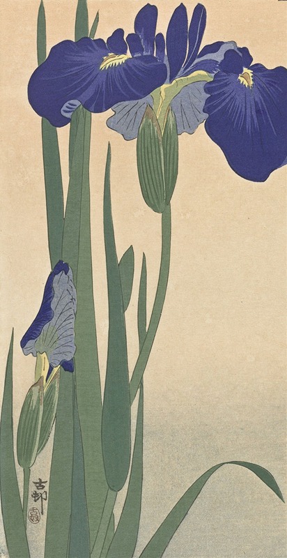 Blue Irises by Охара Косон, 1900 - 1930 — digital art print download