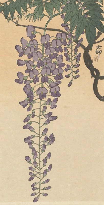 Flowering wisteria by Охара Косон — digital art print download
