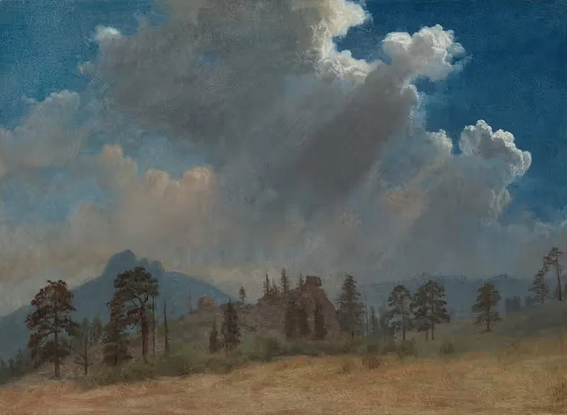 Ели и грозовые облака by Альберт Бирштадт, c. 1870 — digital art print download