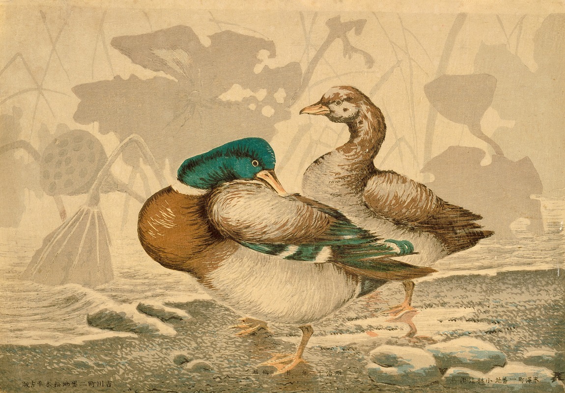 Ducks and Withered Lotus by Kobayashi Kiyochika, 1897 — digital art print download