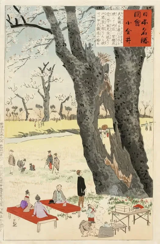 Коганей, цветение вишни by Кобаяси Киёчика, 1896 — digital art print download