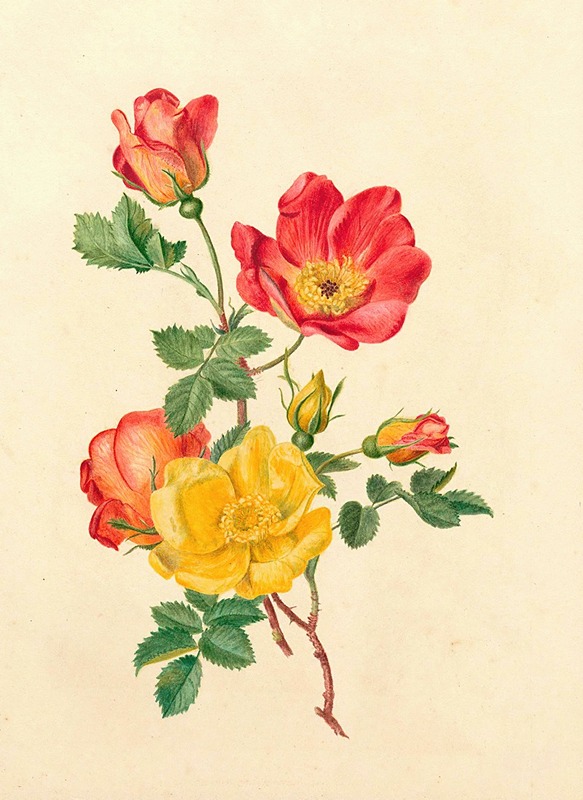 Takje wilde rozen by Antoinette Luden, 1800 — digital art print download