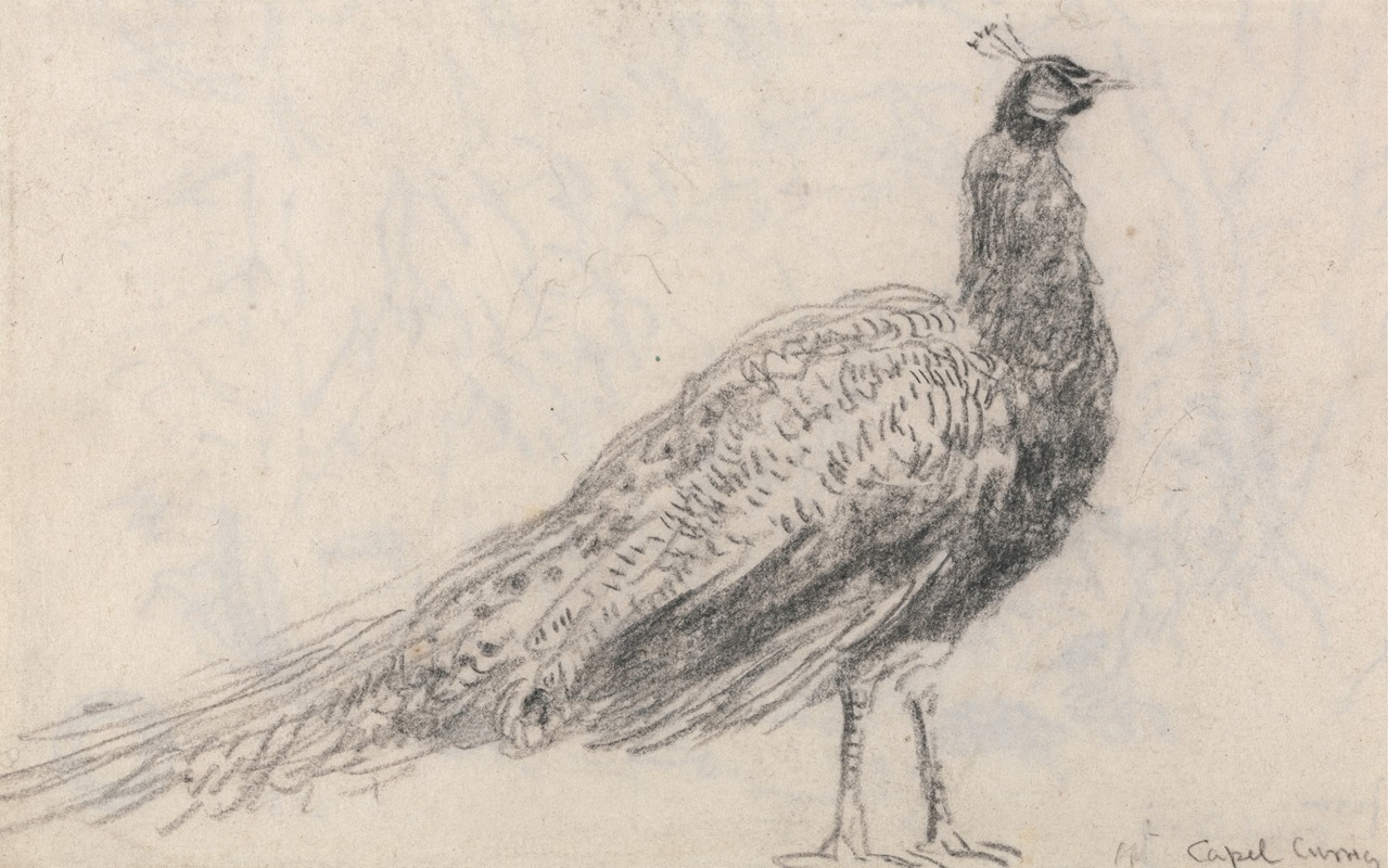 Peacock at Capel Curig by David Cox — digital art print download