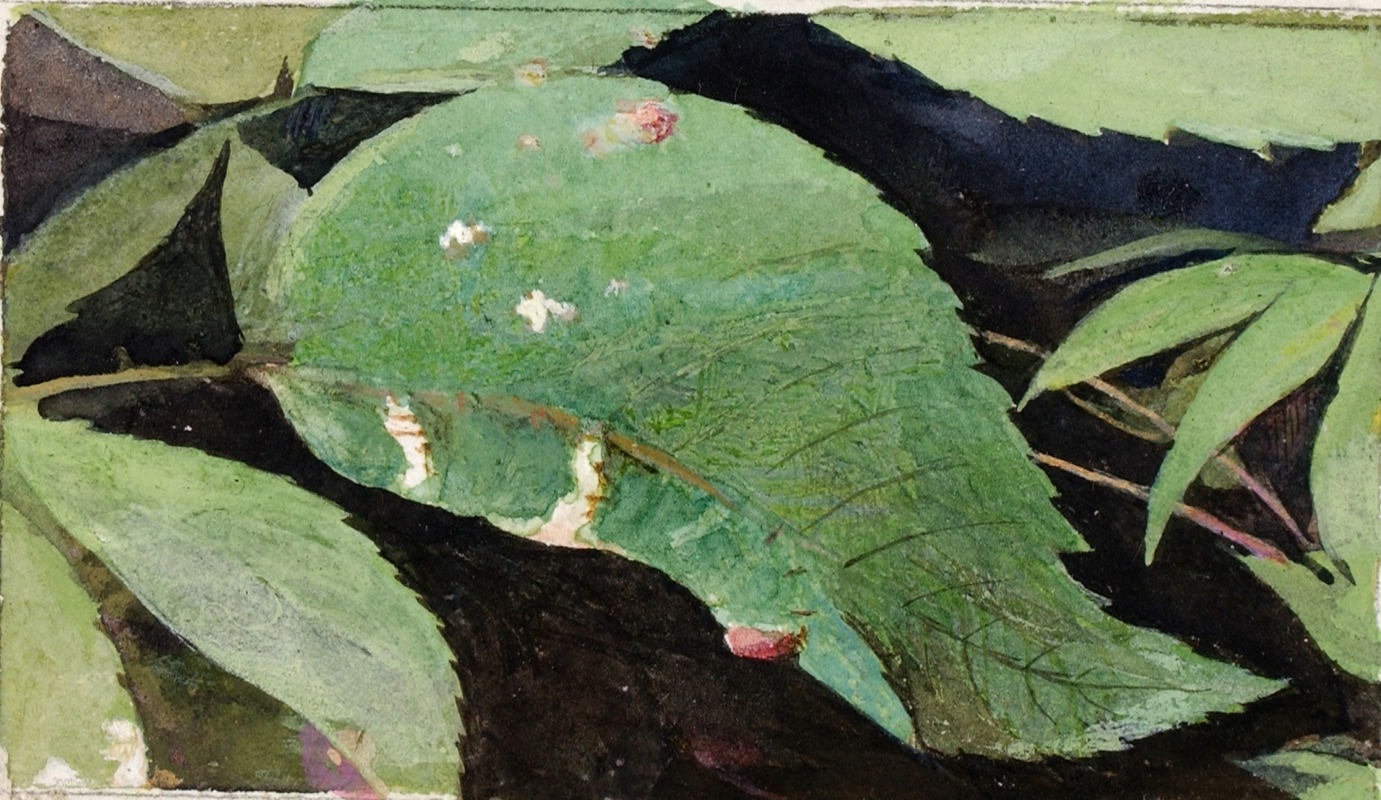 White Birch Leaf Edge Caterpillar by Emma Beach Thayer — digital art print download