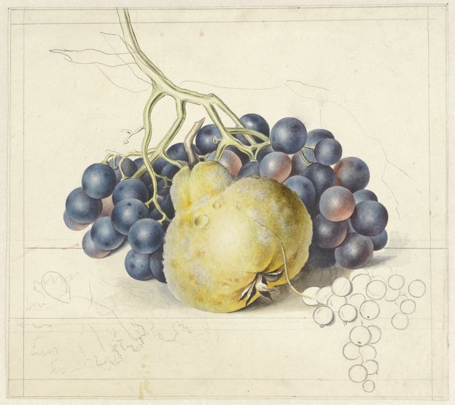 Stilleven met druiven en een peer — Georgius Jacobus Johannes van Os
