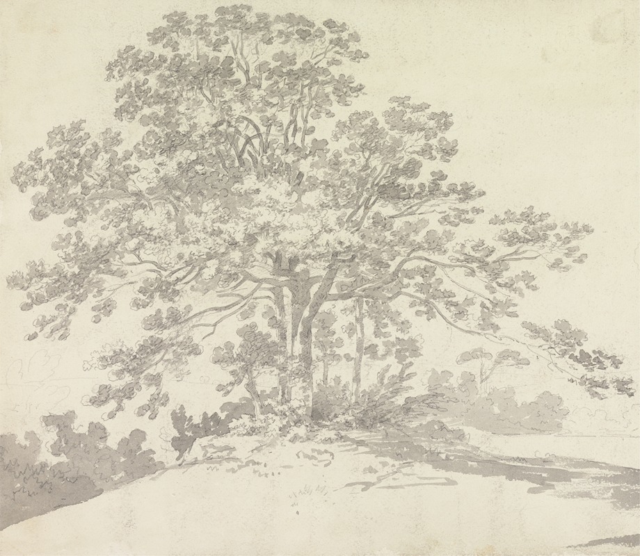 Tree by Джордж Хоуленд Бомонт — digital art print download