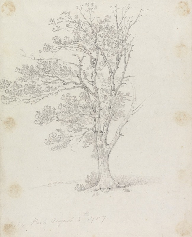 Tree at Easton Park by Джордж Хоуленд Бомонт, 1787 — digital art print download