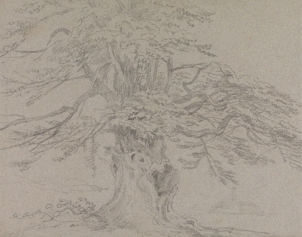 Tree Study by George Howland Beaumont, 1807 — digital art print download