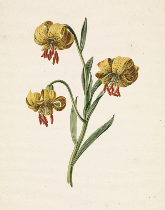 Tak met drie gele lelies by M. de Gijselaar, 1834 — digital art print download