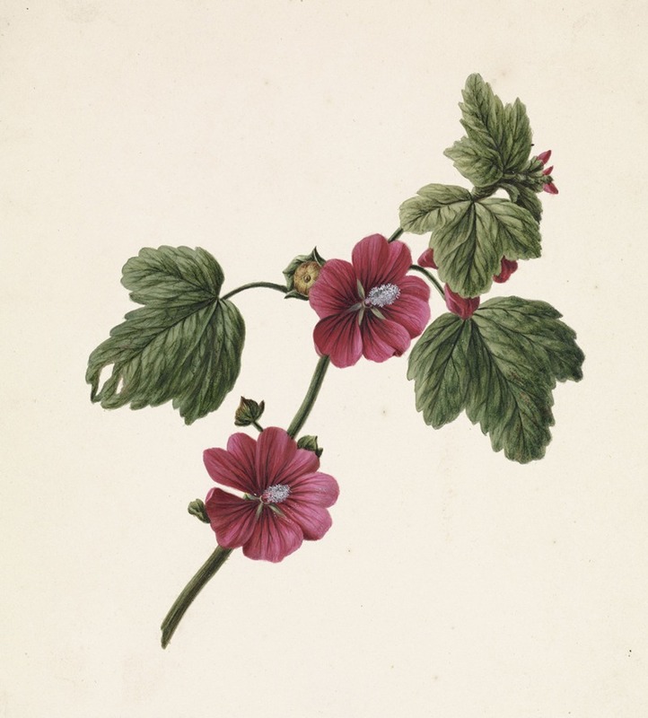 Takje met paarse bloemen — M. de Gijselaar