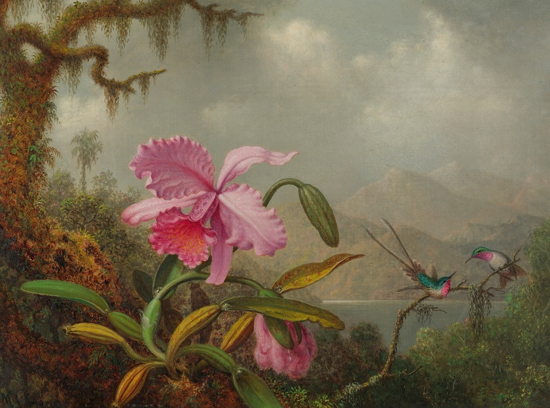 Orchids And Hummingbirds by Мартин Джонсон Хид — digital art print download