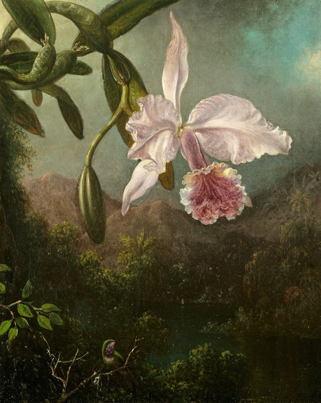Orchid Blossoms by Martin Johnson Heade, 1873 — digital art print download