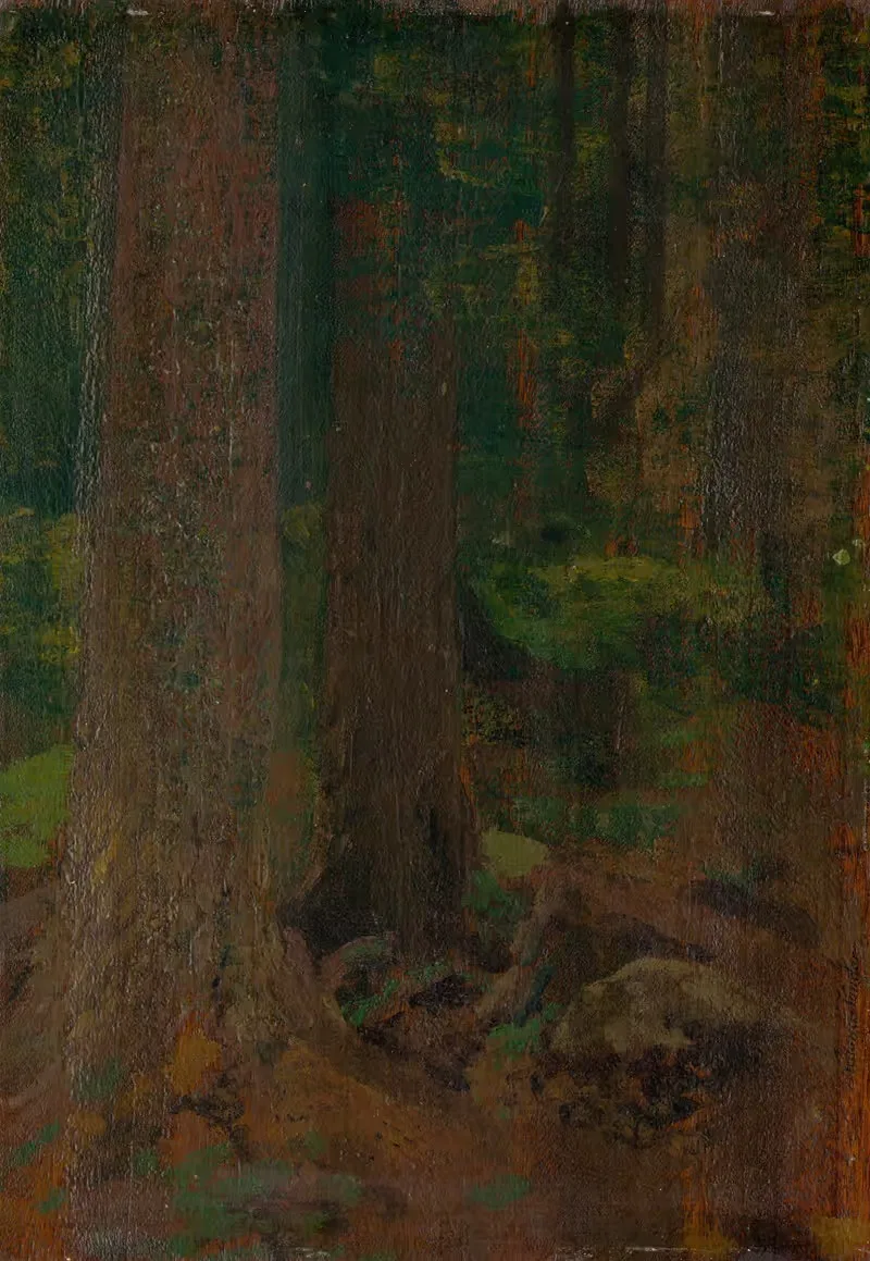 Study of Forest by Ferdinand Katona, 1890–1910 — digital art print download