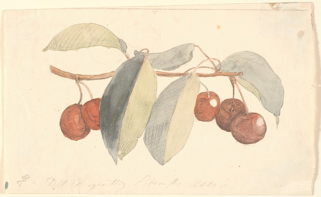 En gren med paradisæbler by П. К. Сковгорд, 1816 - 1875 — digital art print download