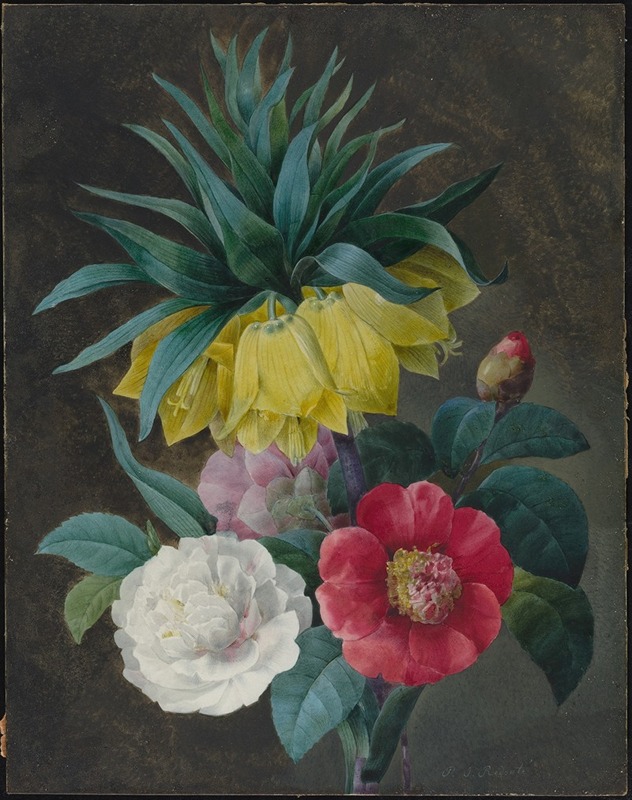 Four Peonies and a Crown Imperial by Pierre-Joseph Redouté — digital art print download