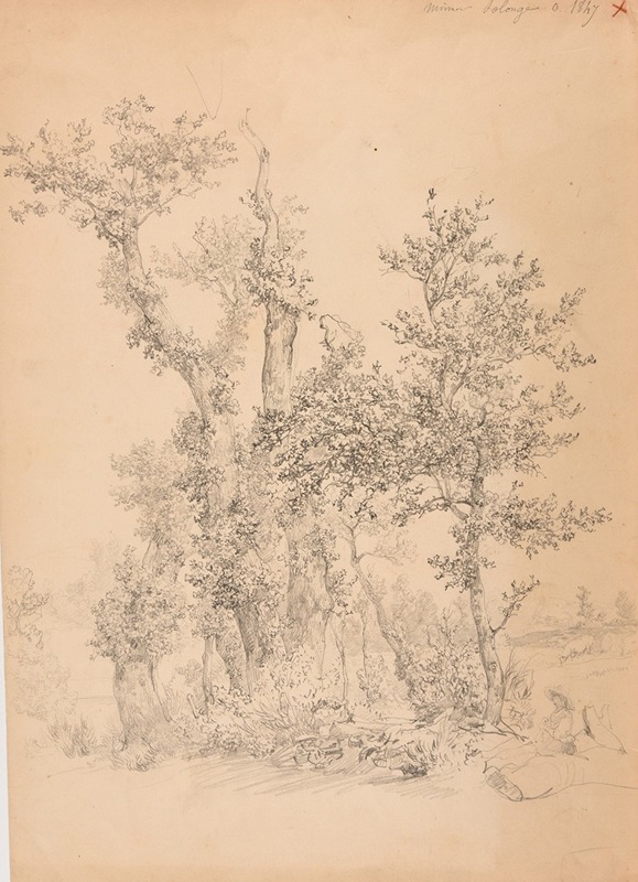 Bois et prè à Solonge, près Mimeure — Jacques-Raymond Brascassat