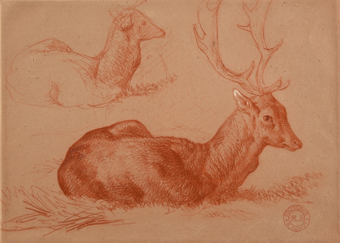 Cerf couché et étude de cerf by Жак-Раймон Брассас — digital art print download
