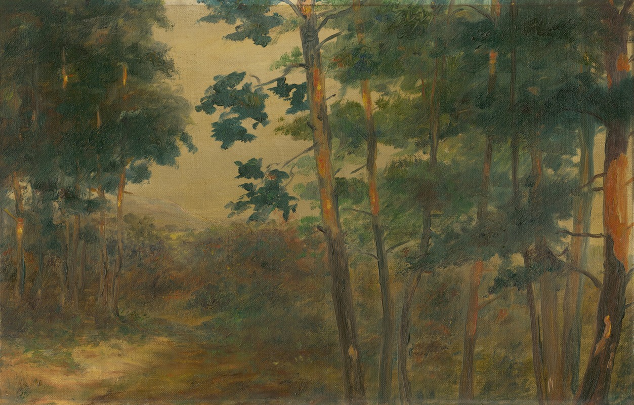 Лесной вид by Элемир Халяш-Градила, 1902–1908 — digital art print download