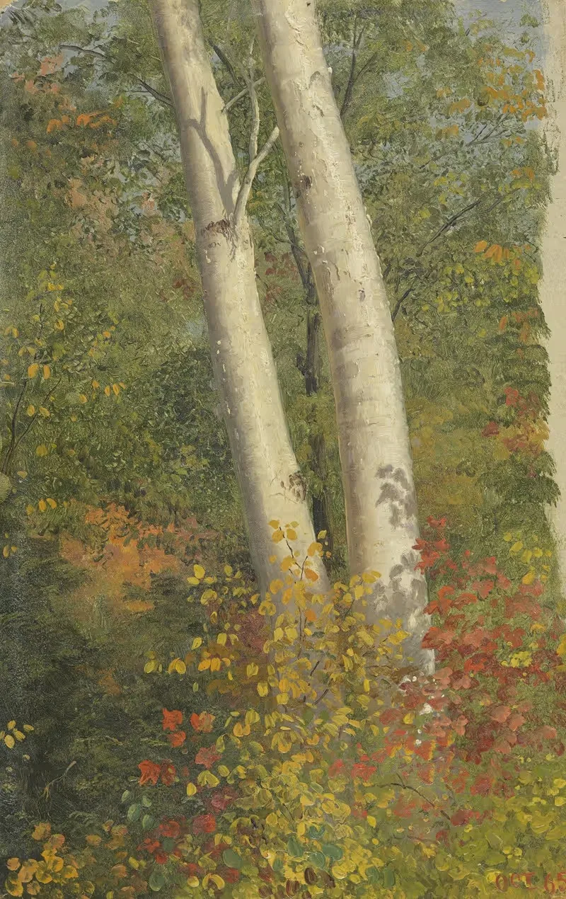 Березы осенью by Фредерик Эдвин Чёрч, 1865 — digital art print download