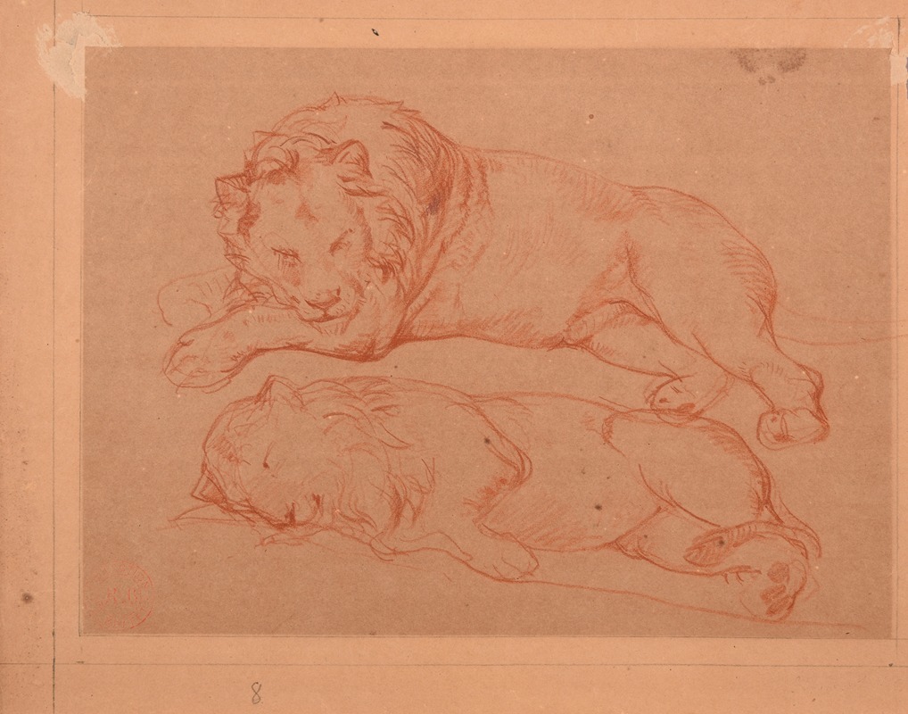 Étude de deux lions couchés by Жак-Раймон Брассас — digital art print download