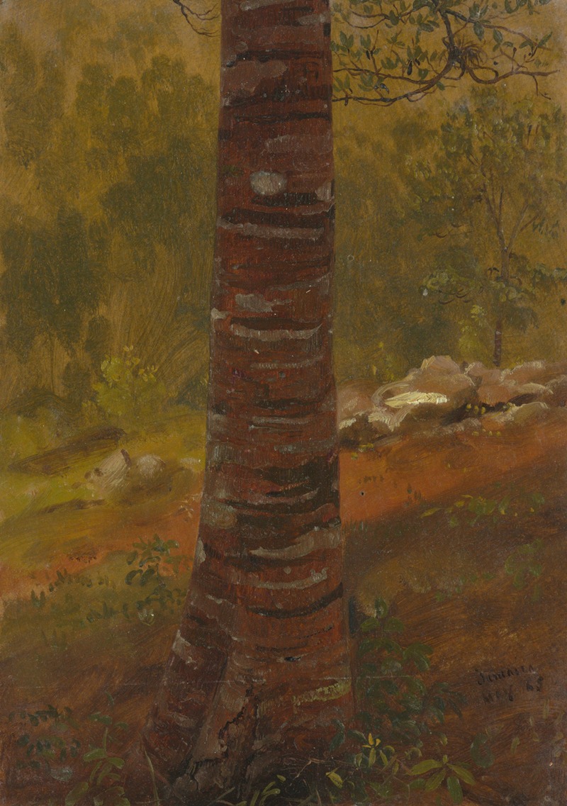 Tree trunk by Frederic Edwin Church, 1865 — digital art print download