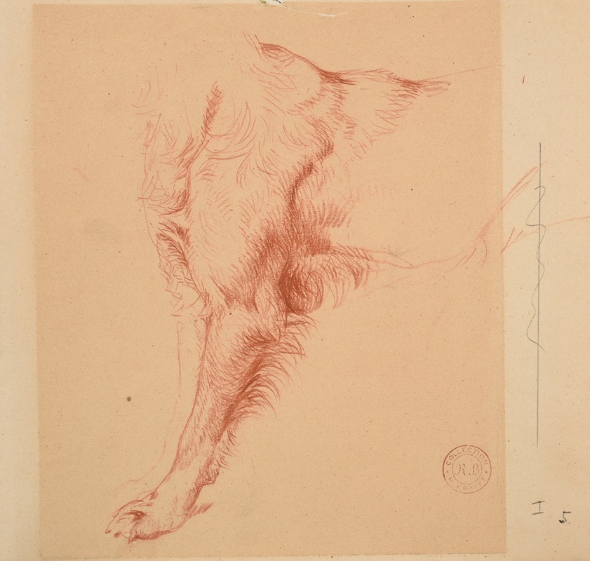 Étude de patte de chien. by Жак-Раймон Брассас — digital art print download