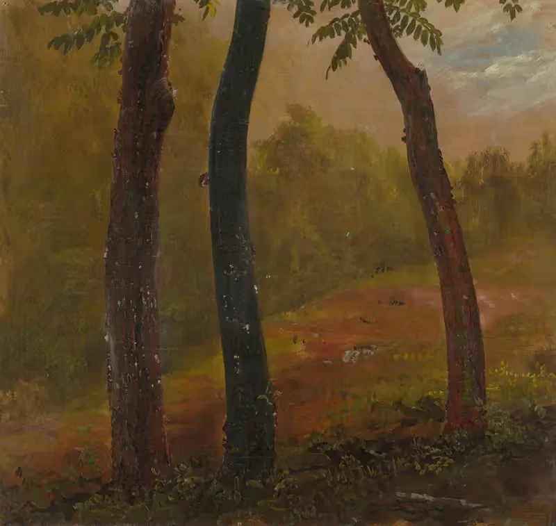 Woodland Scene, Jamaica — Frederic Edwin Church