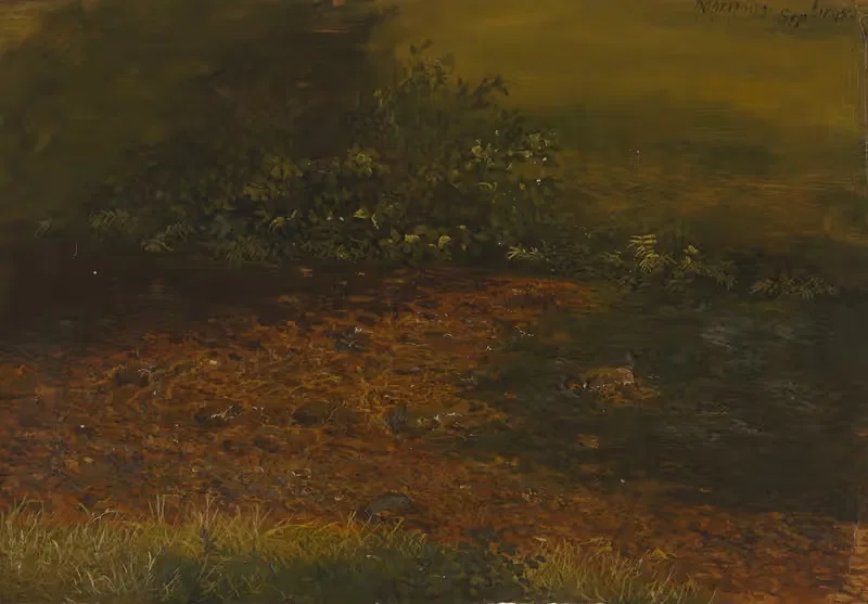 Woodland stream in the Catskills — Frederic Edwin Church