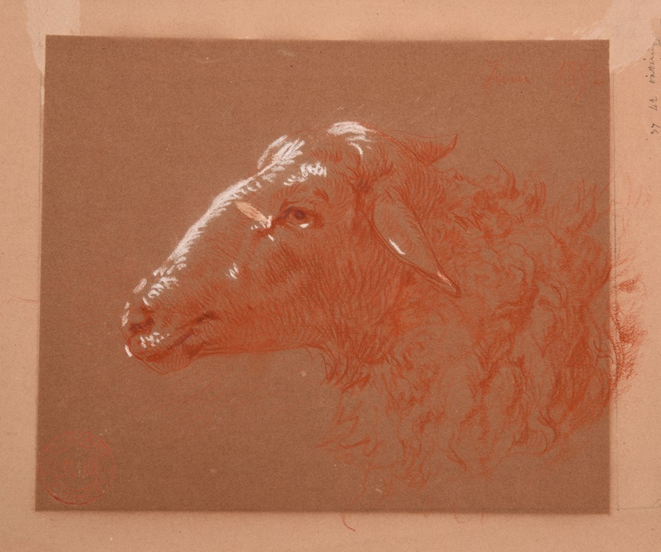 Étude de tête de mouton by Жак-Раймон Брассас — digital art print download