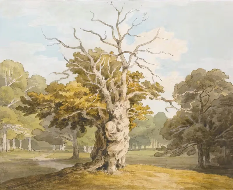 An Oak At Kedleston Hall, Derbyshire — John White Abbott