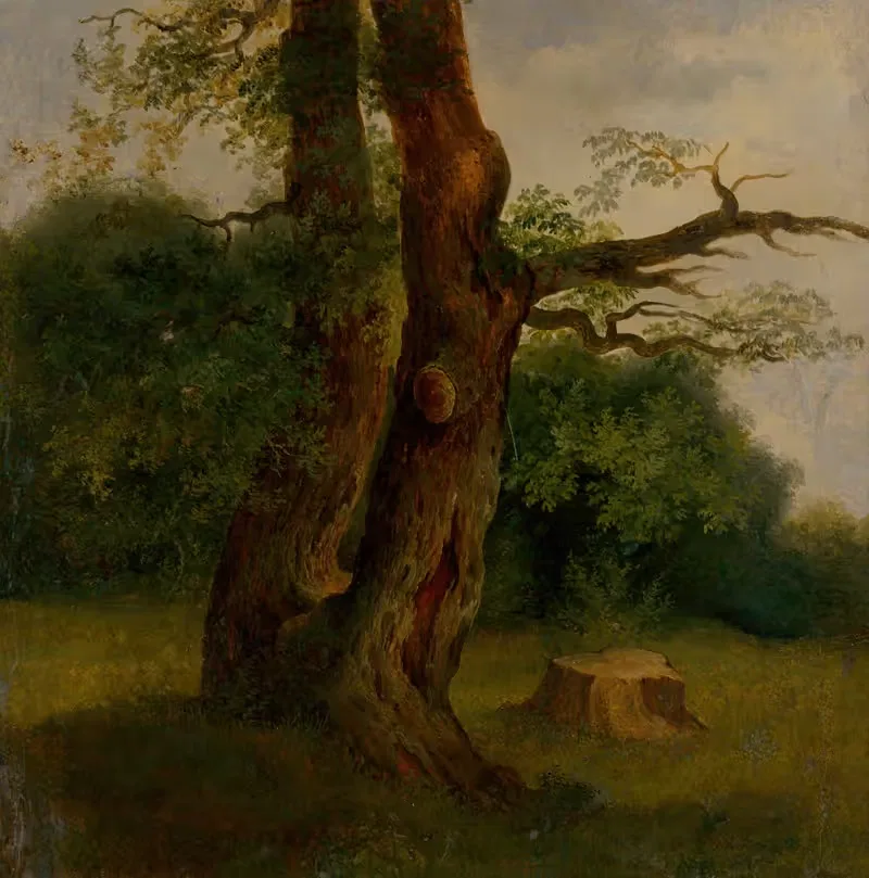Изучение лиственного дерева by Йозеф Божетех Клеменс, 1860–1870 — digital art print download