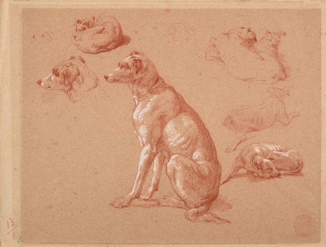 Études de chiens by Жак-Раймон Брассас — digital art print download