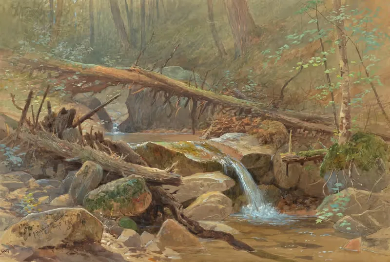Pool in the Woods by Anonymous, 1875 — digital art print download
