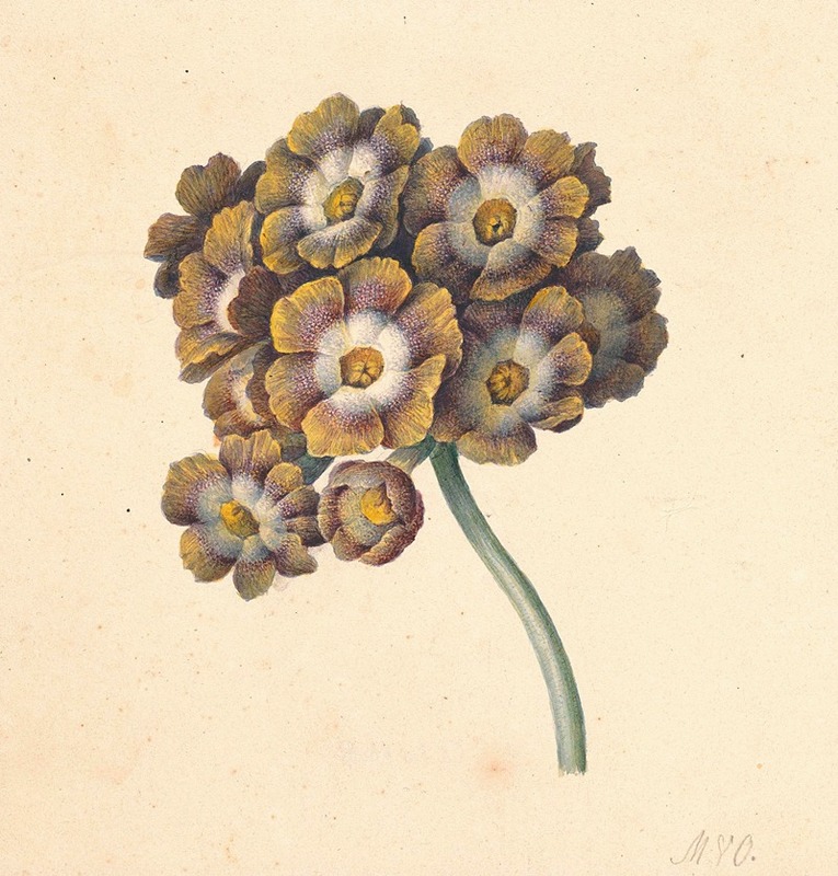 Bloemenstudie by Maria Margaretha van Os, 1790 — digital art print download