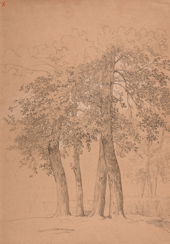 Quatre arbres by Жак-Раймон Брассас — digital art print download